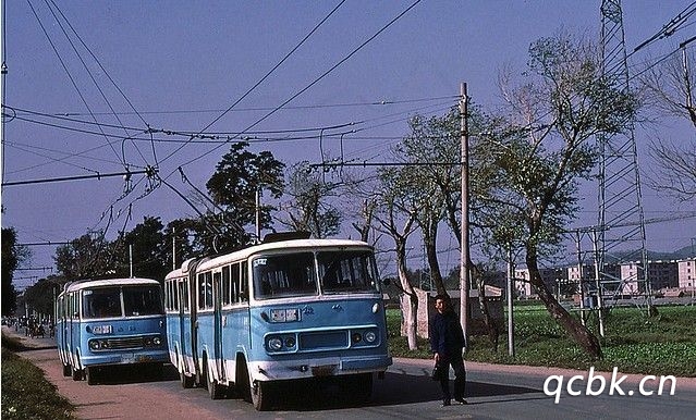 n照可以開(kāi)什么車型