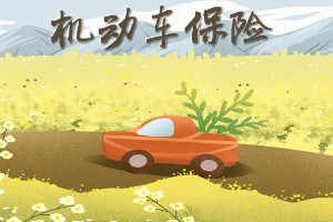 車(chē)險(xiǎn)買(mǎi)哪幾種險(xiǎn)就夠了 買(mǎi)四種保險(xiǎn)就夠了