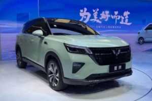 五菱星辰suv2022款價格及圖片 五菱星辰suv2022款新車售價6.98萬