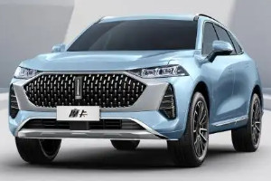 一個豎長條的車標(biāo)suv 魏派汽車品牌(中國豪華suv品牌)