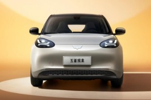 五菱繽果電動車2023款價(jià)格 新車售價(jià)5萬(分期首付1萬)