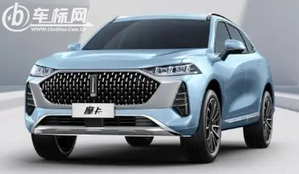 一個豎長條的車標suv 魏派汽車品牌(中國豪華suv品牌)